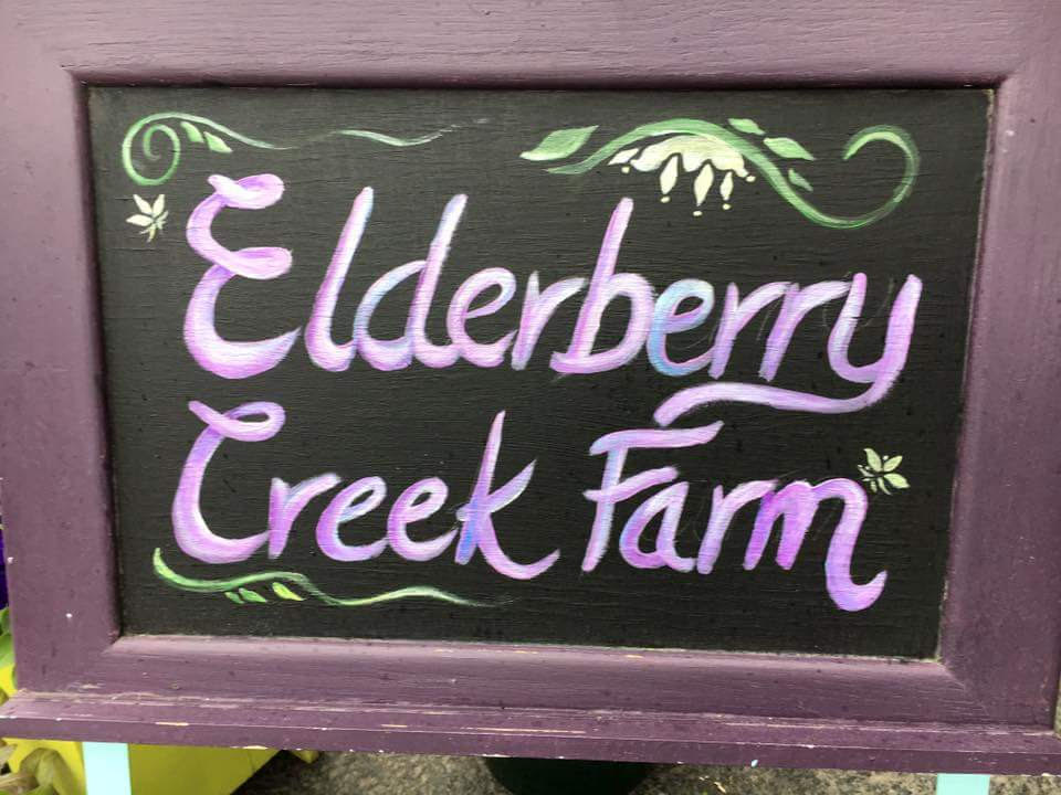 elderberry cr farm My Casual Homestead